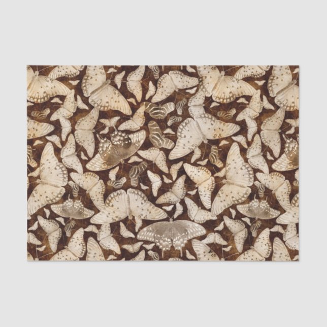 Brown and Beige Butterflies Tissue Paper (Front)