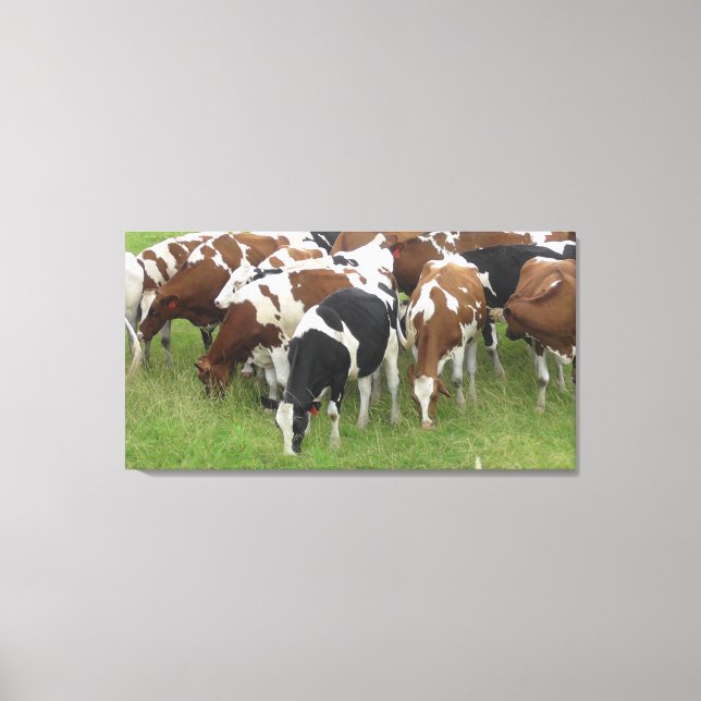 Brown and Black Dairy Cows Wrapped Canvas Art (Front)