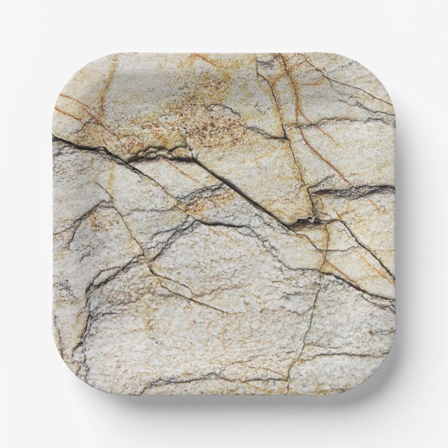 Brown and Black Textured Mable Stone  Paper Plates (Front)