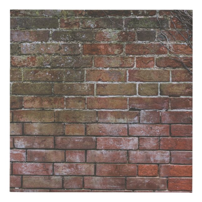 Brown and black wooden board faux canvas print (Front)