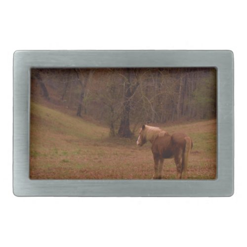 Brown and Blond Horse in a field Belt Buckle