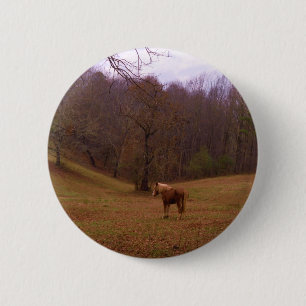 Brown and Blond Horse in a field Button