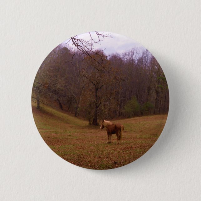 Brown and Blond Horse in a field Button (Front)