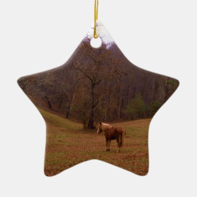 Brown and Blond Horse in a field Ceramic Ornament (Front)