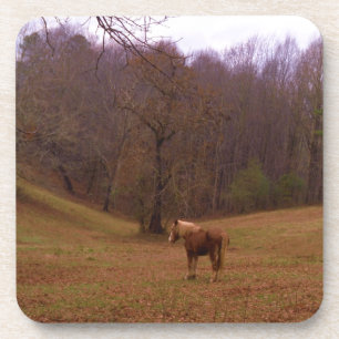 Brown and Blond Horse in a field Coaster