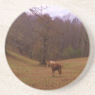 Brown and Blond Horse in a field Drink Coaster