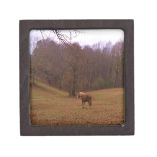 Brown and Blond Horse in a field Keepsake Box