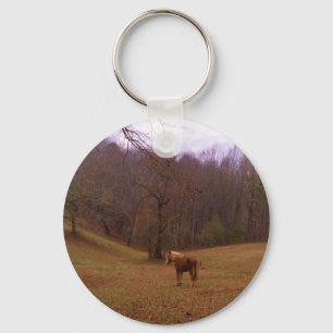 Brown and Blond Horse in a field Keychain