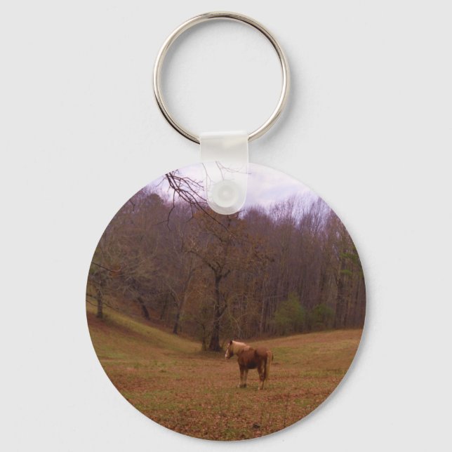 Brown and Blond Horse in a field Keychain (Front)