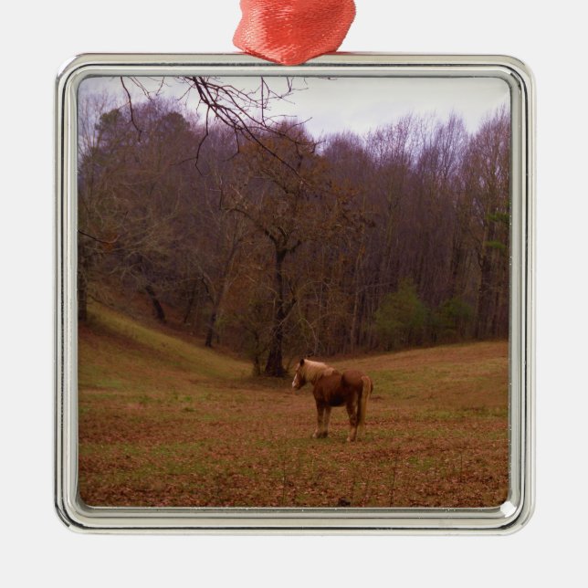 Brown and Blond Horse in a field Metal Ornament (Front)