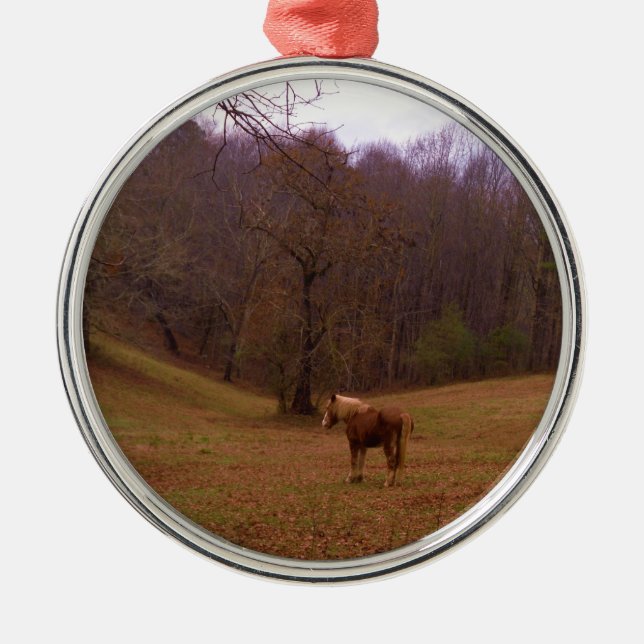 Brown and Blond Horse in a field Metal Ornament (Front)