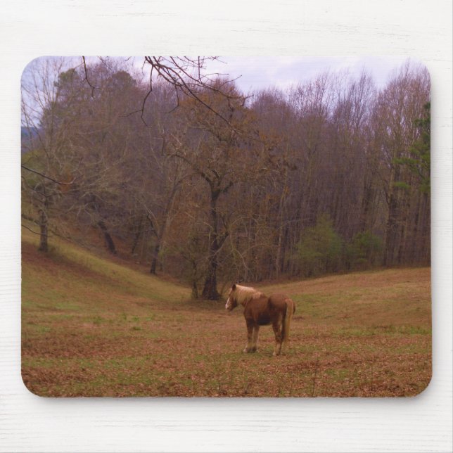 Brown and Blond Horse in a field Mouse Pad (Front)