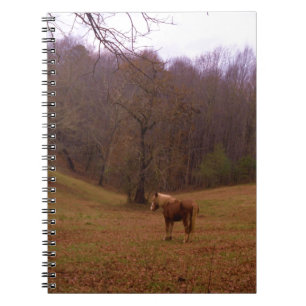 Brown and Blond Horse in a field Notebook