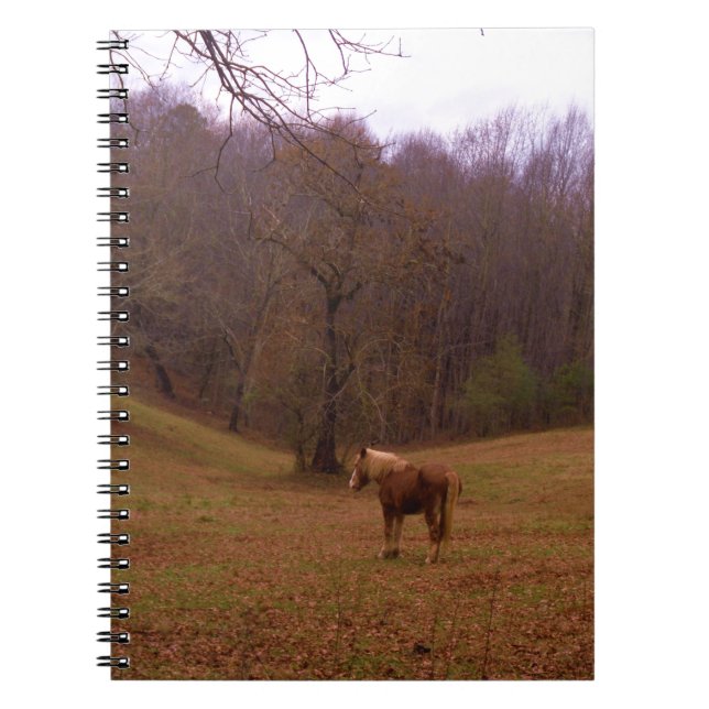 Brown and Blond Horse in a field Notebook (Front)