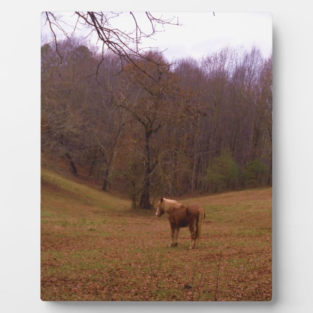 Brown and Blond Horse in a field Plaque (Front)