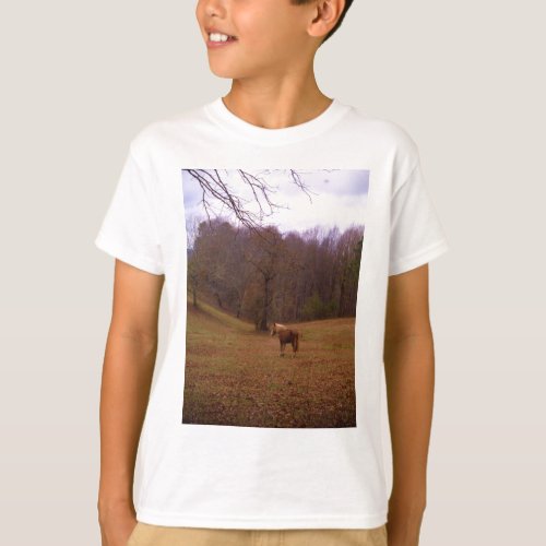 Brown and Blond Horse in a field T_Shirt