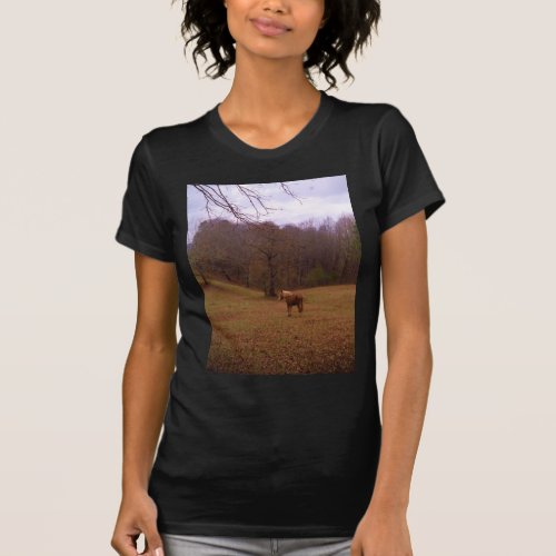 Brown and Blond Horse in a field T_Shirt