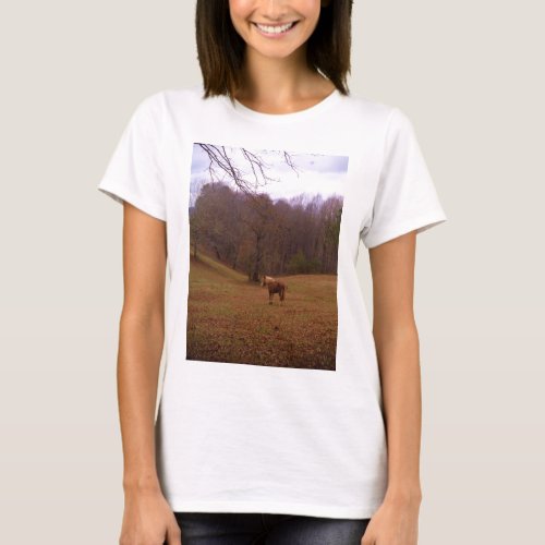 Brown and Blond Horse in a field T_Shirt