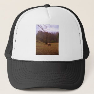 Brown and Blond Horse in a field Trucker Hat