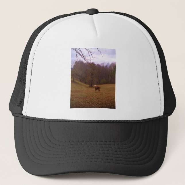 Brown and Blond Horse in a field Trucker Hat (Front)