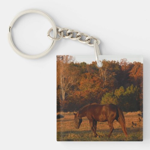 Brown and Blond miniature horses Keychain