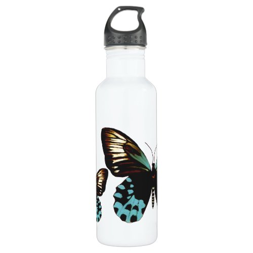 Brown and Blue Butterflies Water Bottle