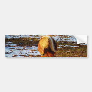 Brown and cream miniature horse in the snow. bumper sticker