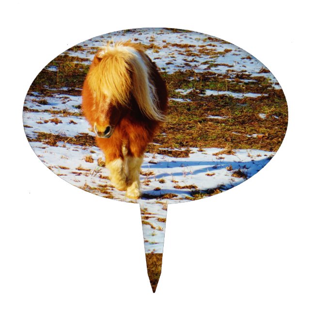 Brown and cream miniature horse in the snow. cake topper (Front)