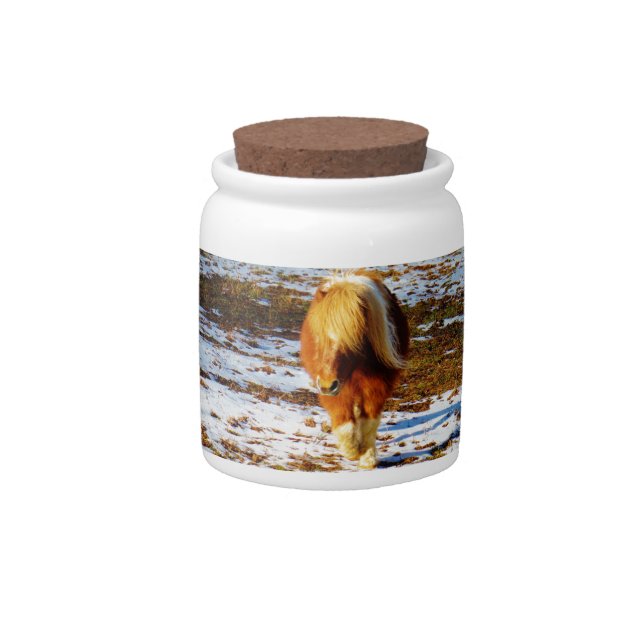 Brown and cream miniature horse in the snow. candy jar (Front)