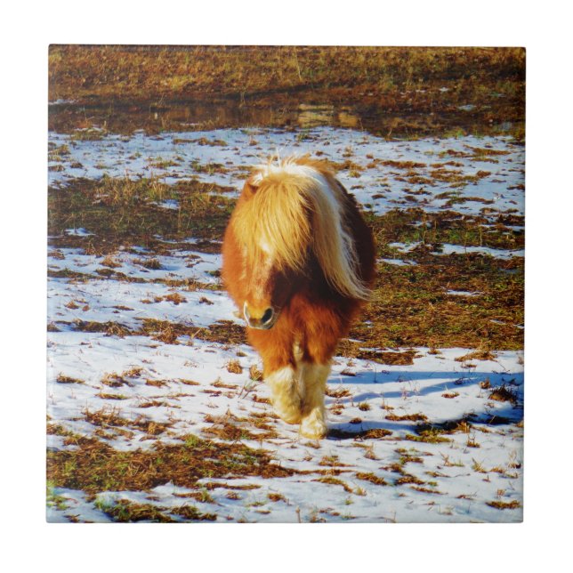 Brown and cream miniature horse in the snow. ceramic tile (Front)