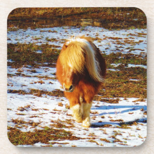 Brown and cream miniature horse in the snow. coaster