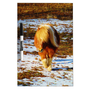 Brown and cream miniature horse in the snow. Dry-Erase board