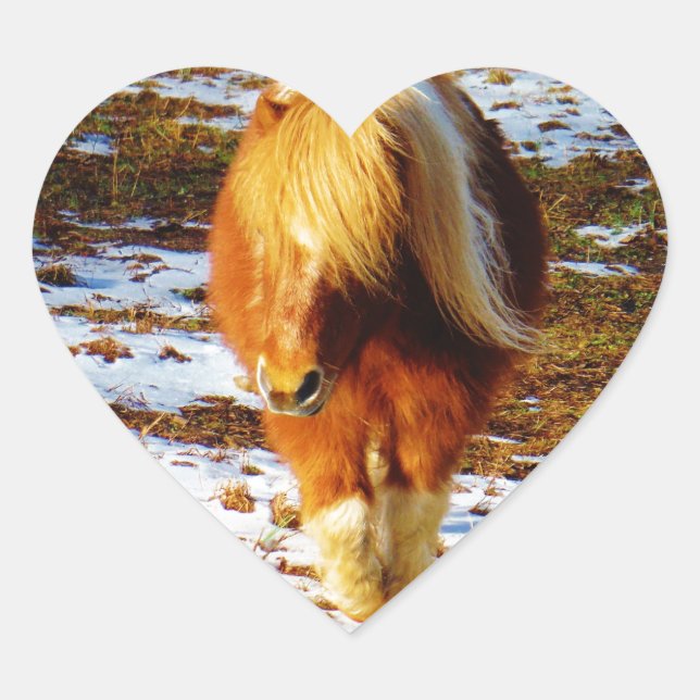 Brown and cream miniature horse in the snow. heart sticker (Front)