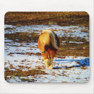 Brown and cream miniature horse in the snow. mouse pad