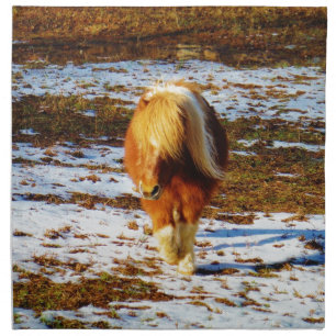 Brown and cream miniature horse in the snow. napkin