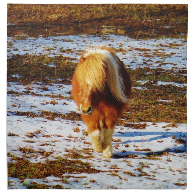 Brown and cream miniature horse in the snow. napkin (Front)