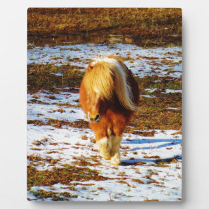 Brown and cream miniature horse in the snow. plaque