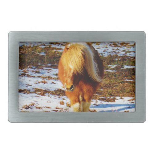 Brown and cream miniature horse in the snow rectangular belt buckle
