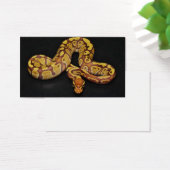 Brown and Gold Ball Python (Desk)