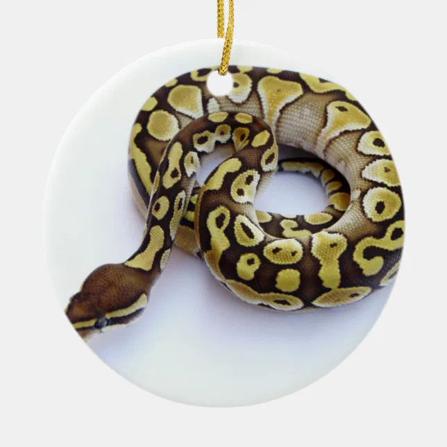 Brown and Gold Ball Python 2 Ceramic Ornament | Zazzle