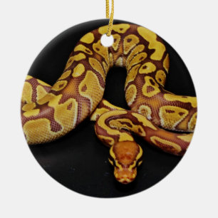 Brown and Gold Ball Python Ceramic Ornament