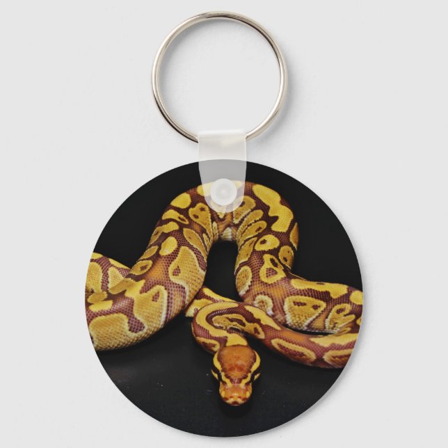 Brown and Gold Ball Python Keychain (Front)