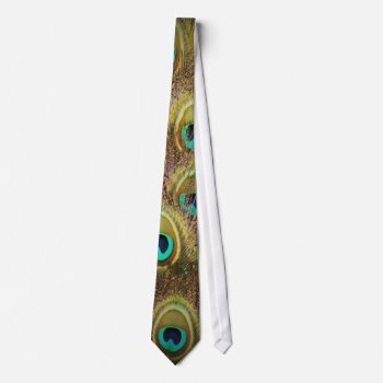 Brown And Gold Peacock Feather Tie by Peacocks at Zazzle