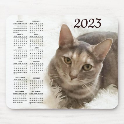 Brown and Gray Tabby Cat 2023 Animal Calendar  