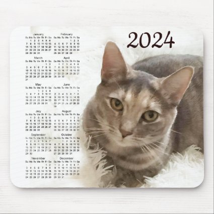 Brown and Gray Tabby Cat 2024 Animal Calendar  