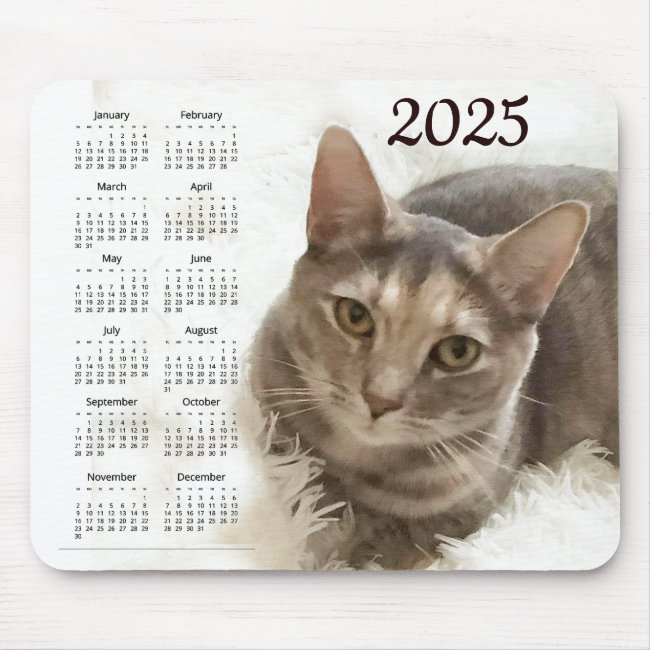 Brown and Gray Tabby Cat 2025 Animal Calendar 