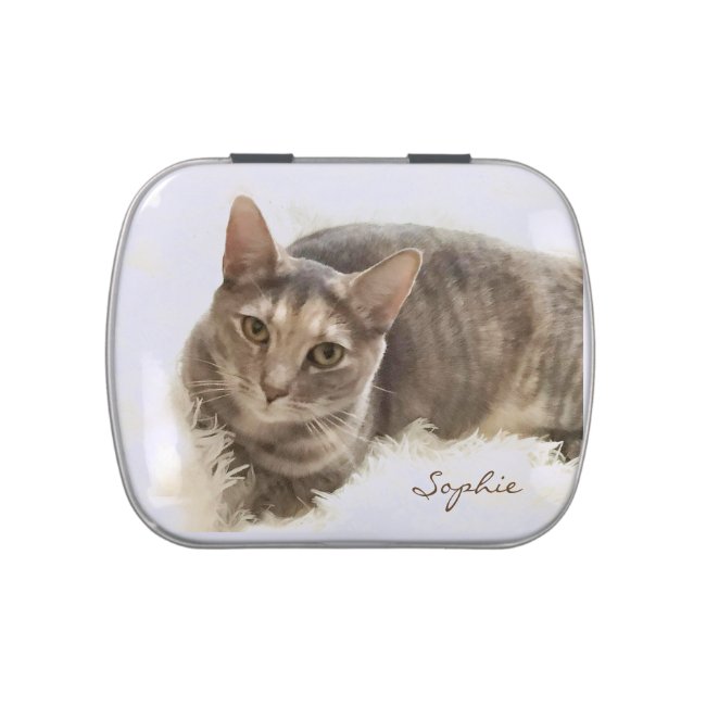 Brown and Gray Tabby Cat Candy Tin