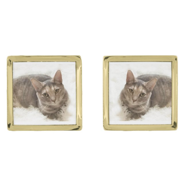 Brown and Gray Tabby Cat Cufflinks
