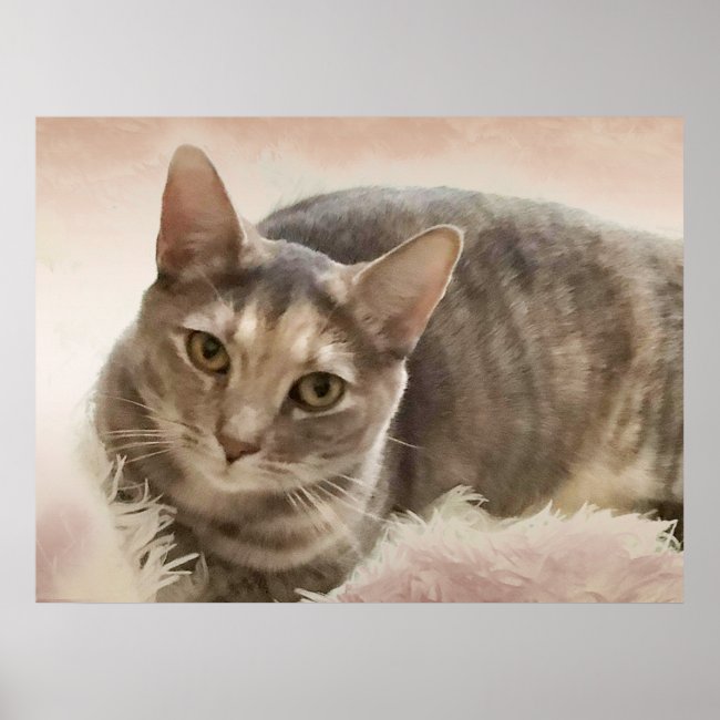 Brown and Gray Tabby Cat Poster