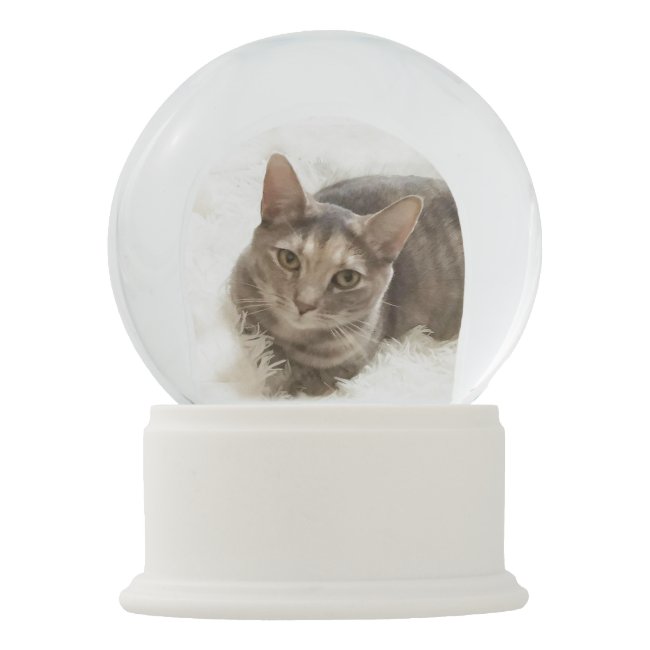 Brown and Gray Tabby Cat Snow Globe